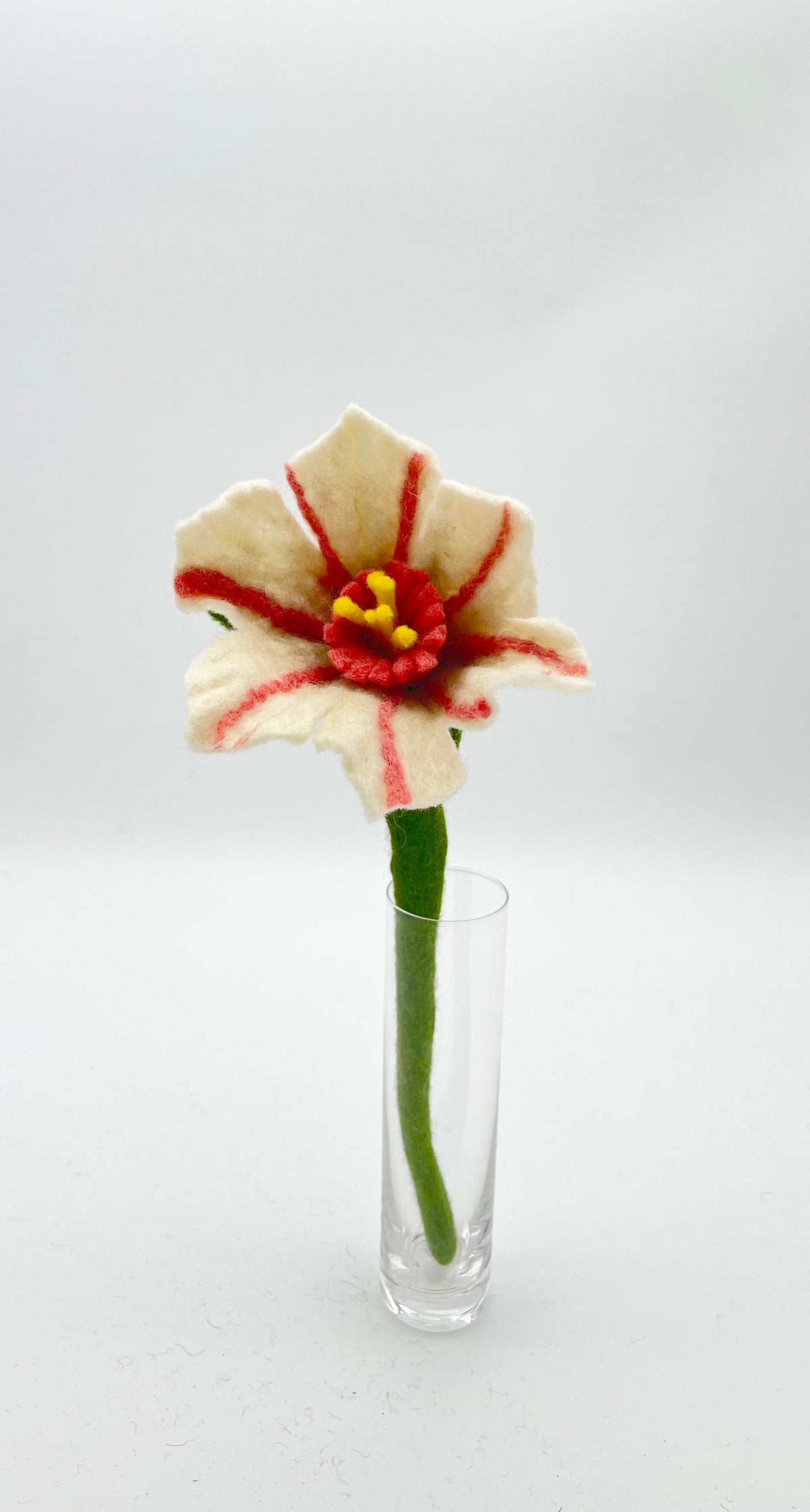 Mini Hibiscus