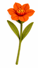 Hibiscus - Dark Orange with Orange