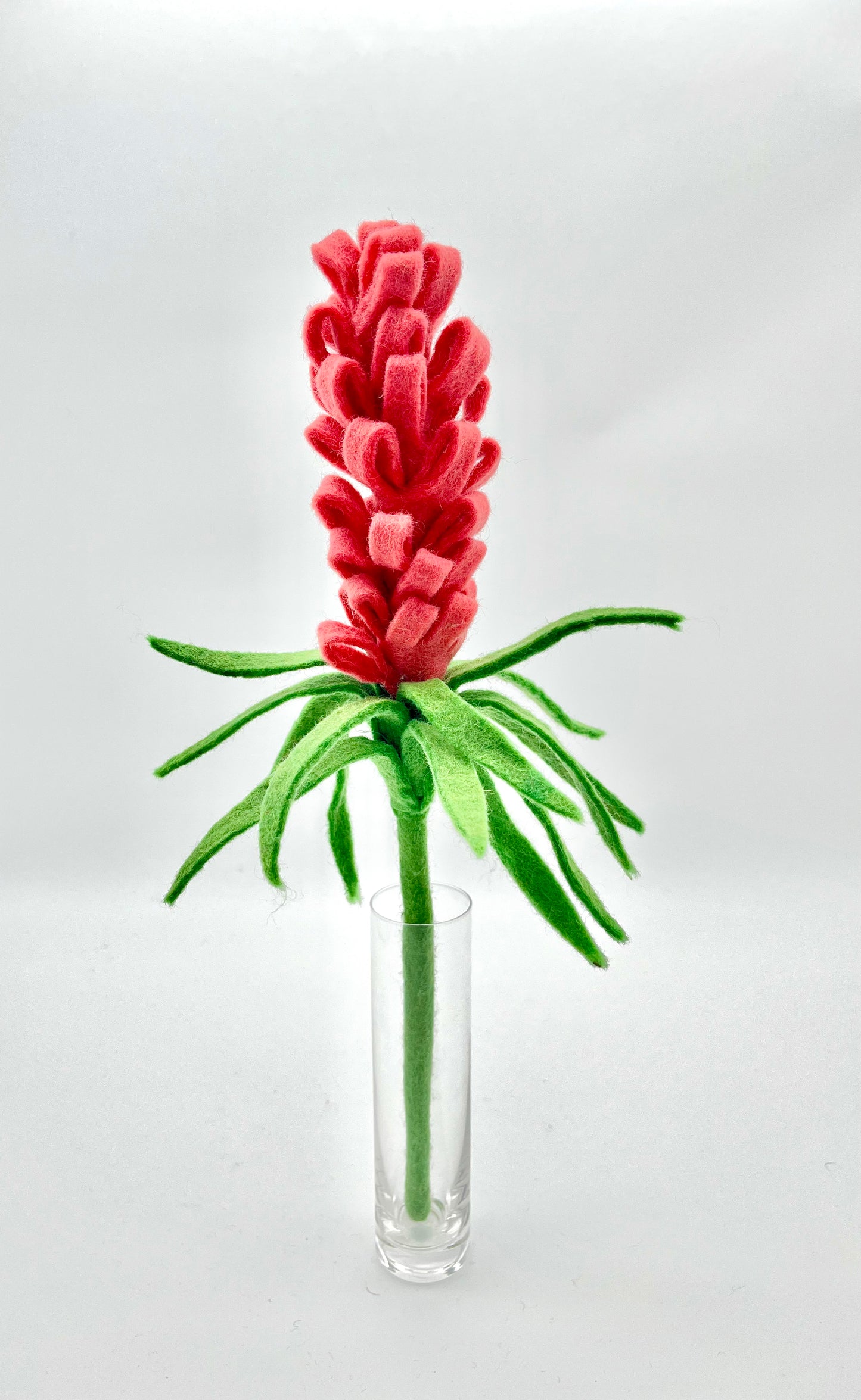 Liatris