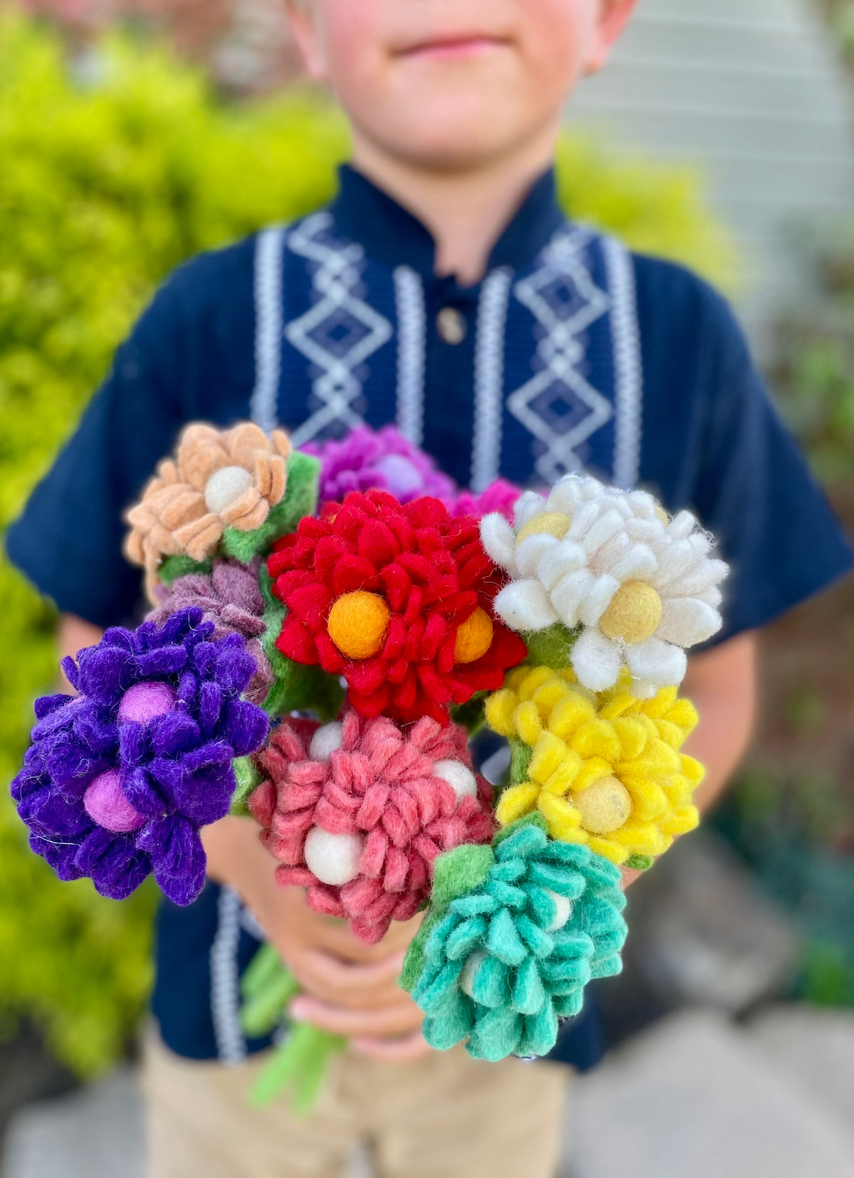 Hydrangea