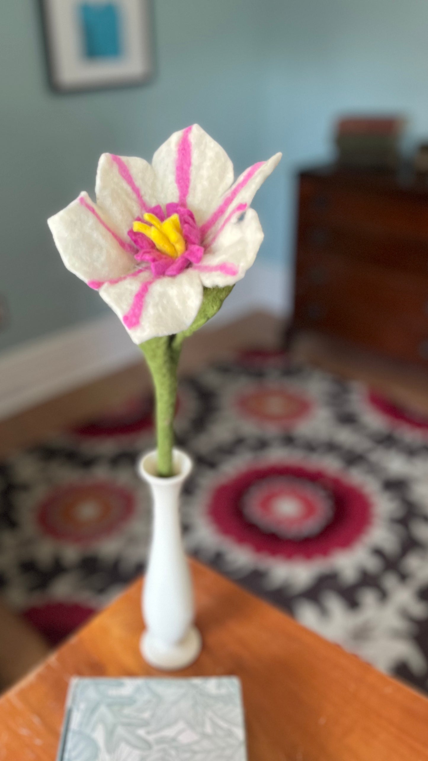 Hibiscus