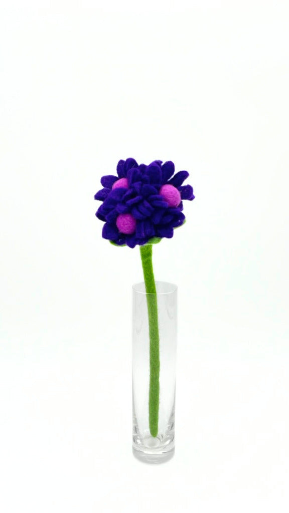 Hydrangea