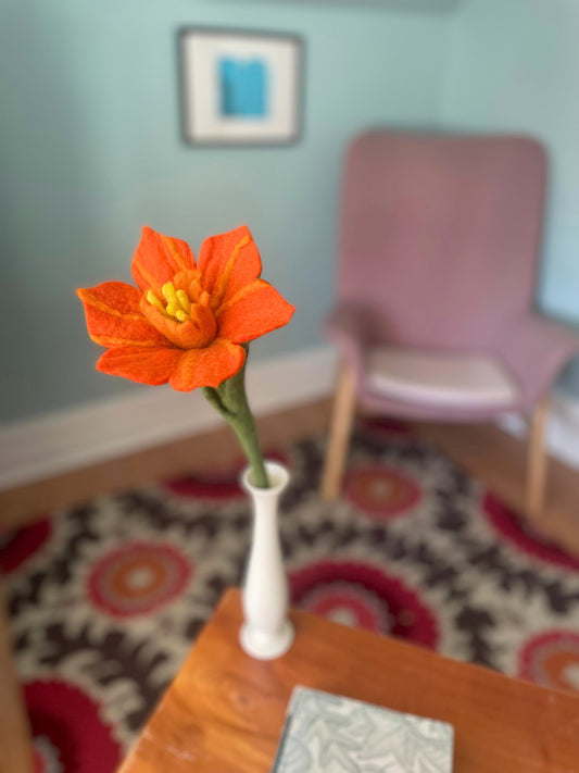 Hibiscus