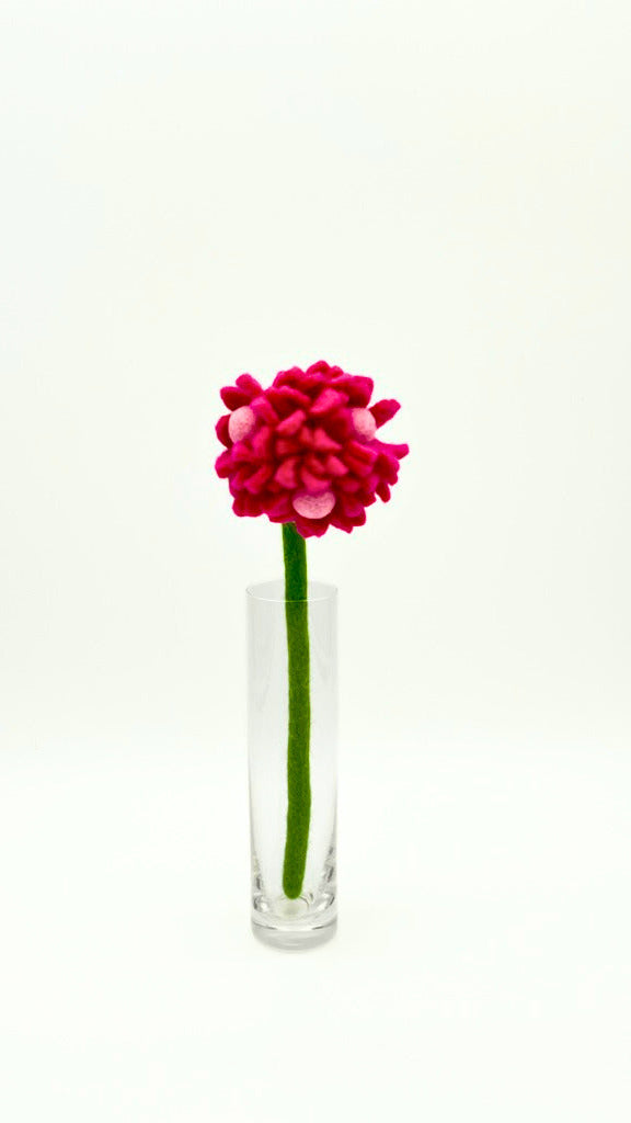 Hydrangea