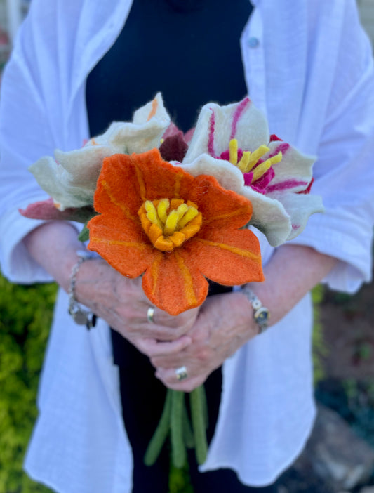 Hibiscus