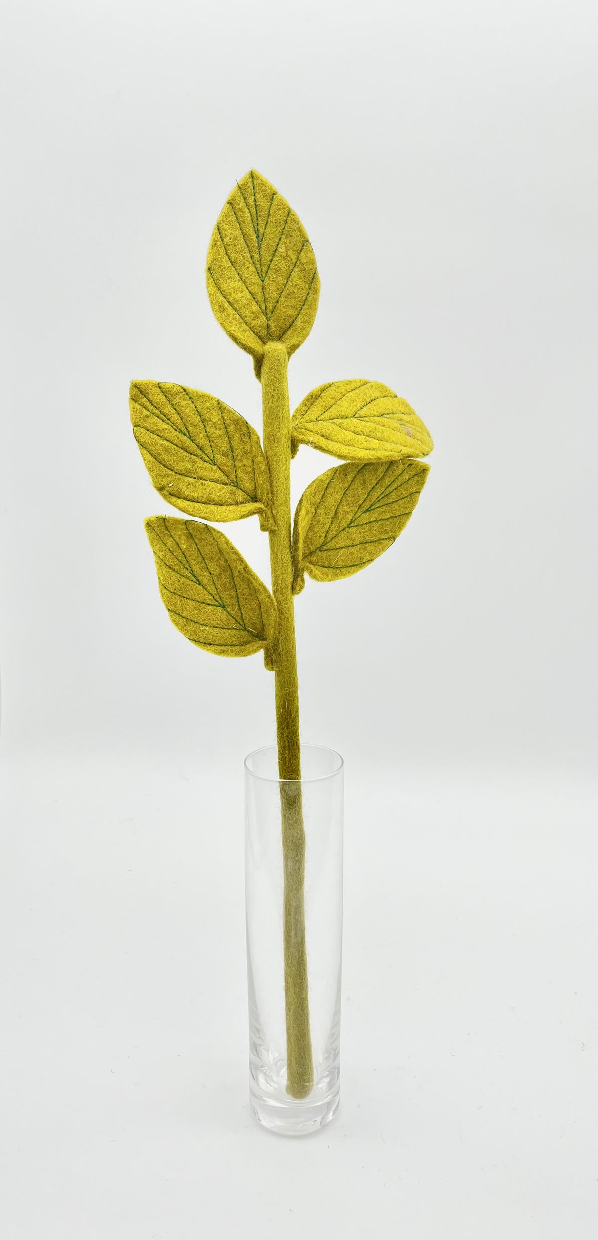 Dogwood
