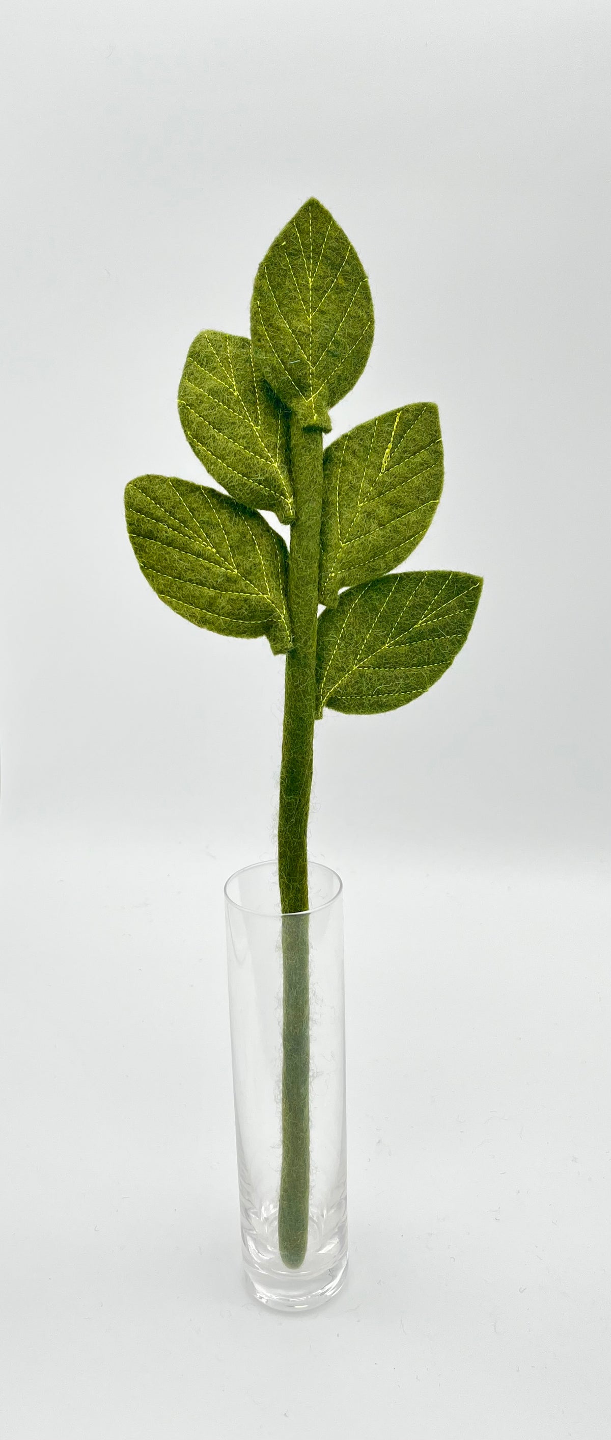 Dogwood