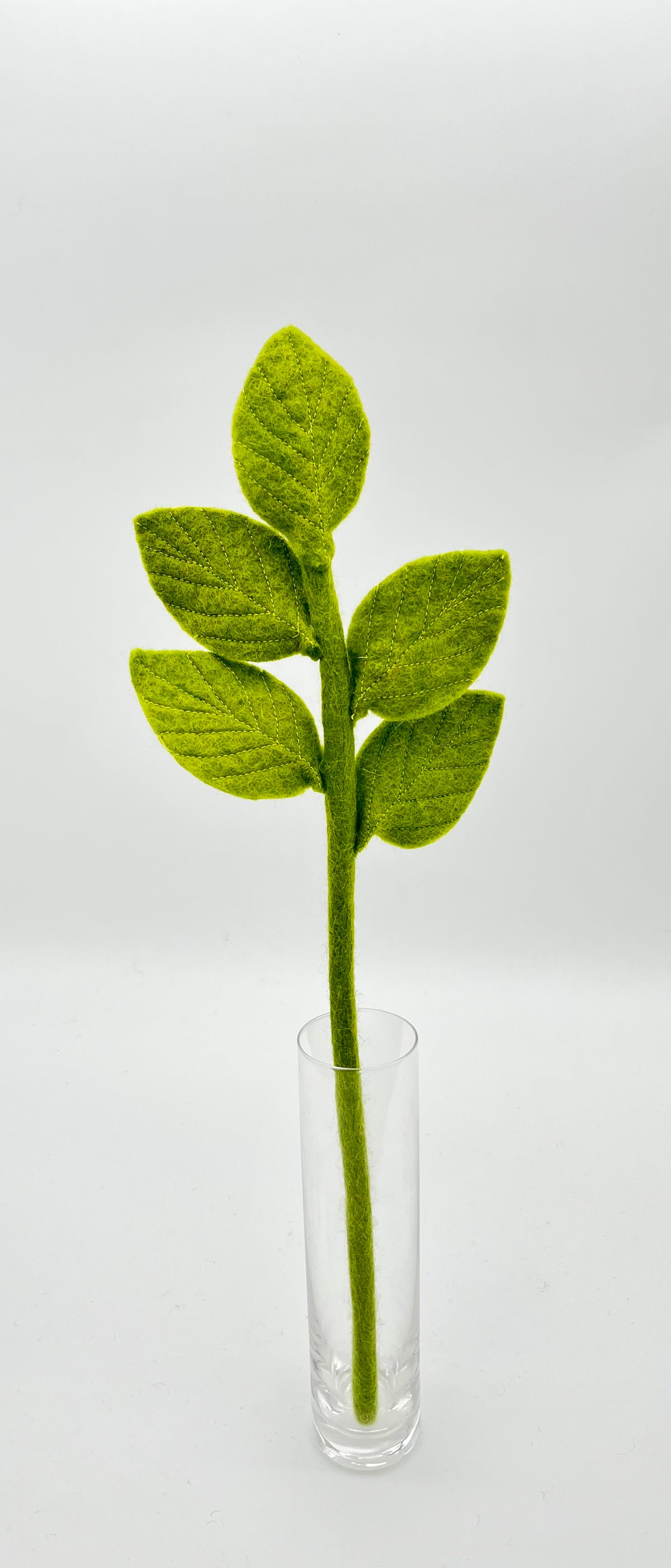 Dogwood