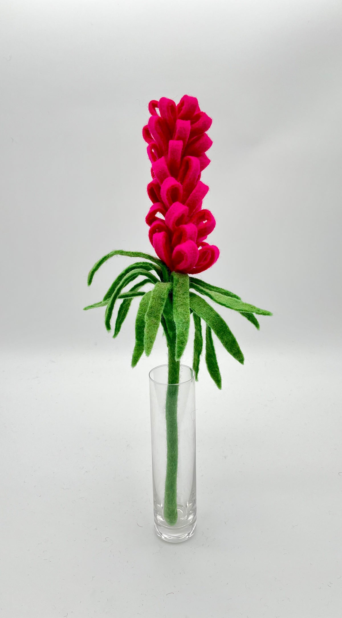 Liatris