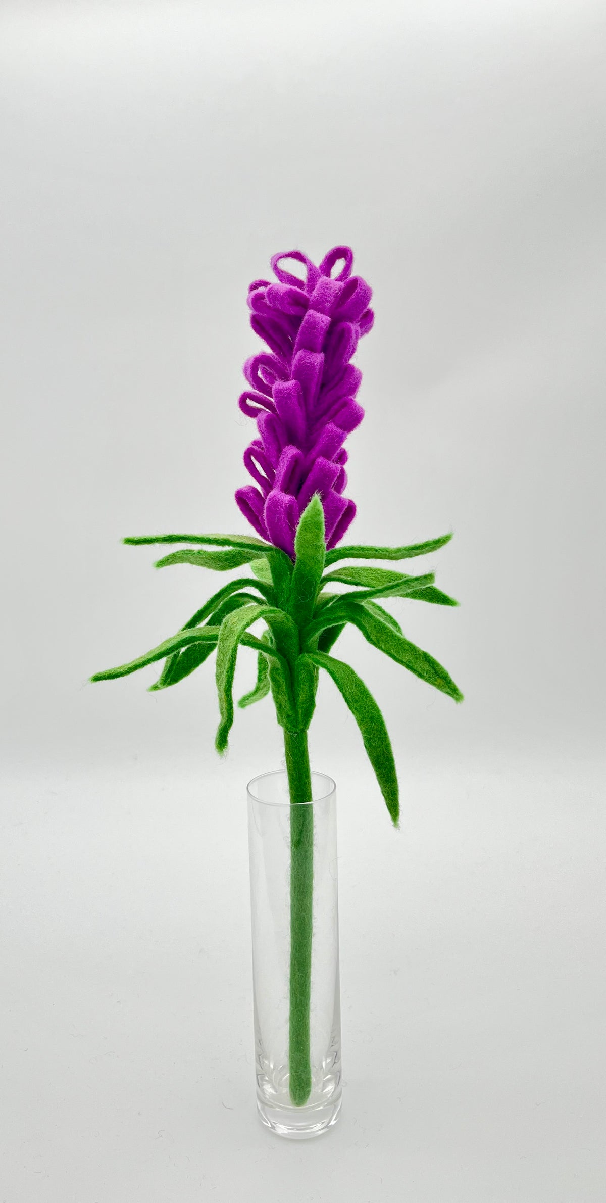 Liatris