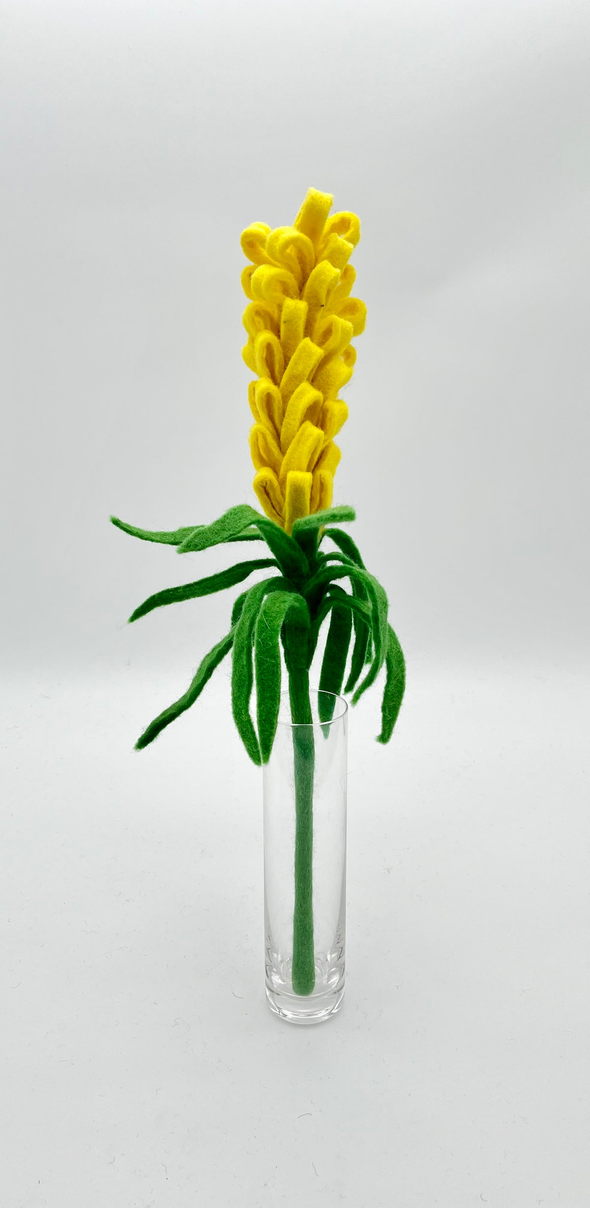 Liatris