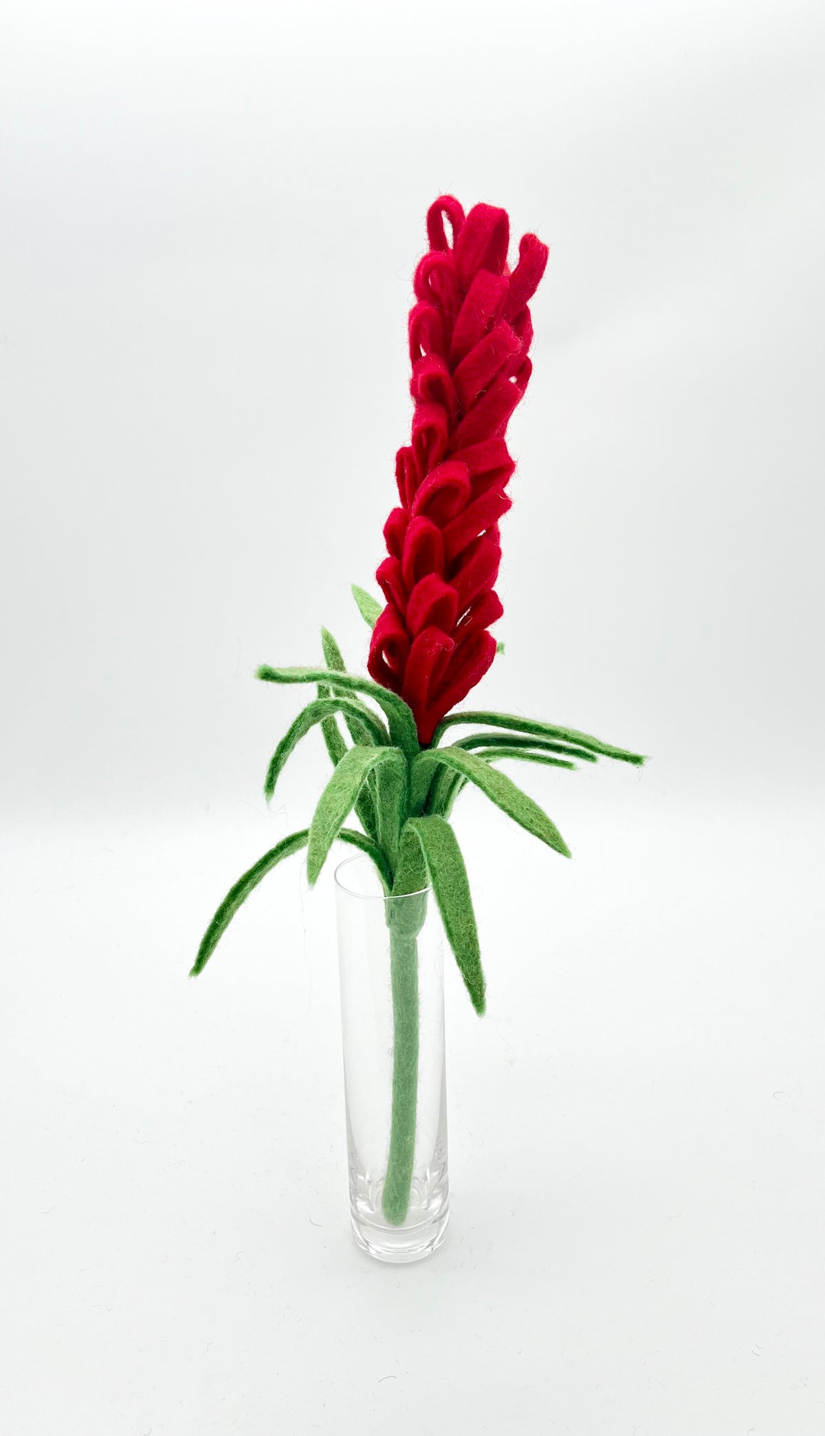 Liatris