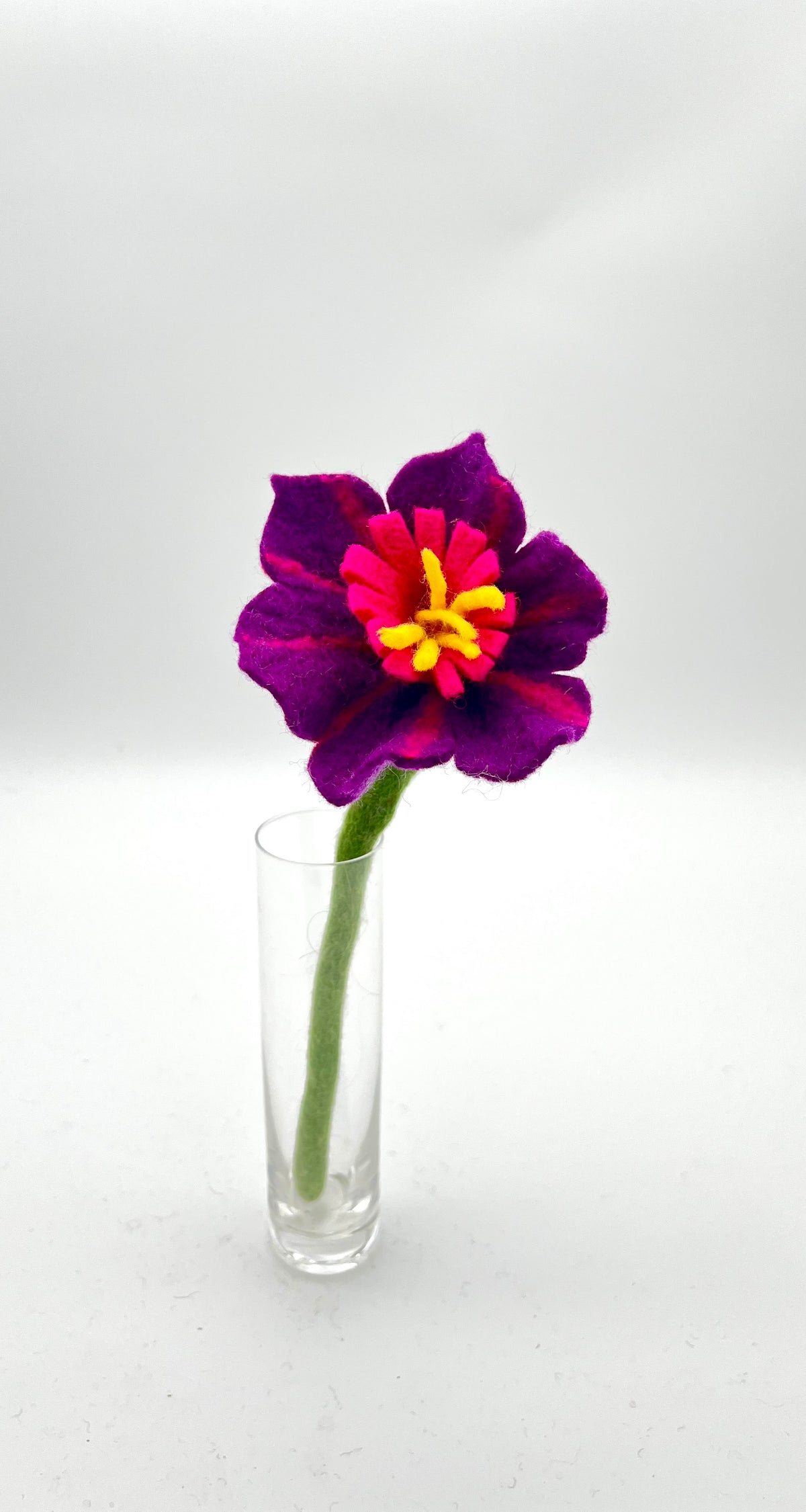 Mini Hibiscus