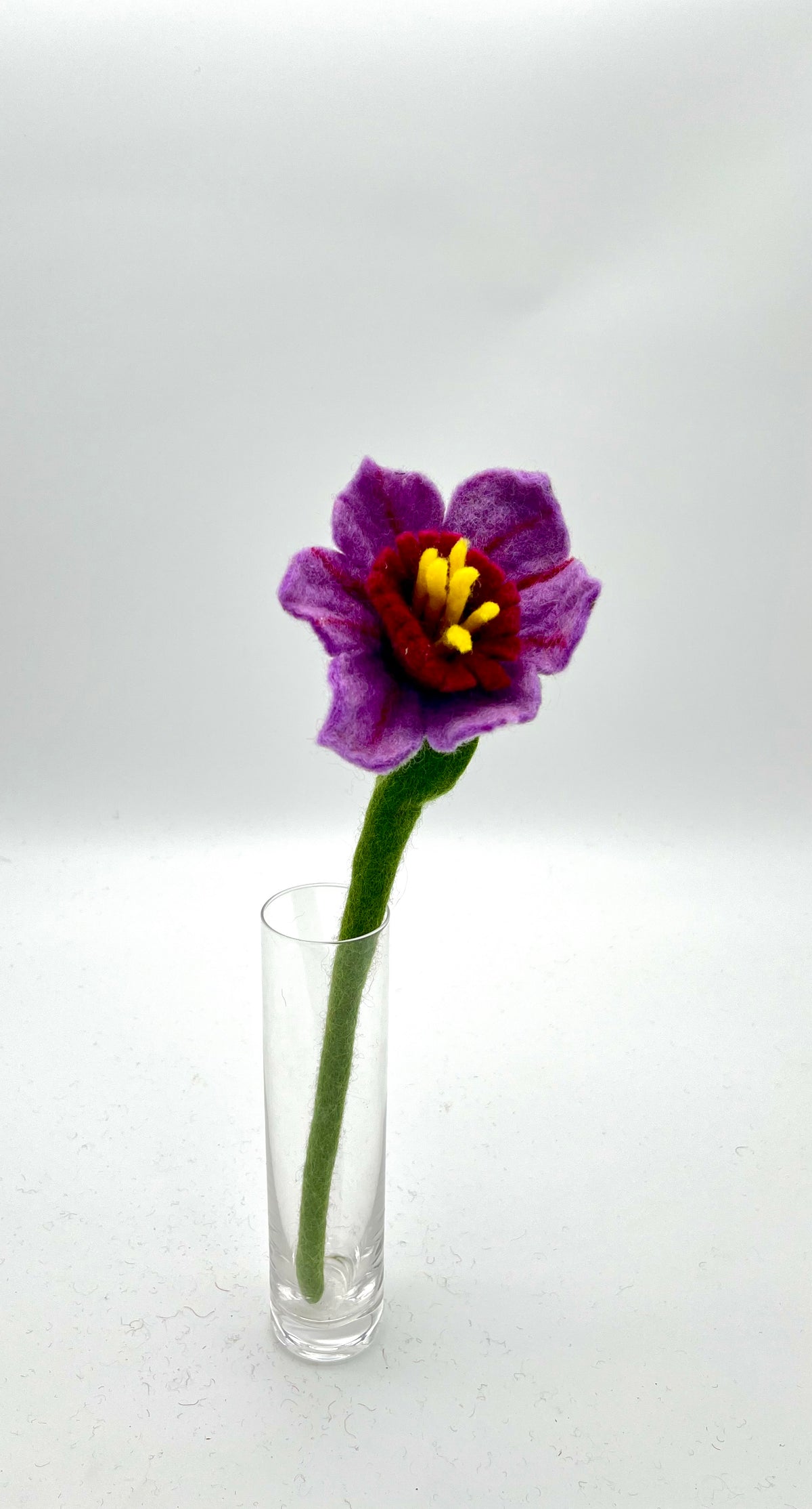 Mini Hibiscus