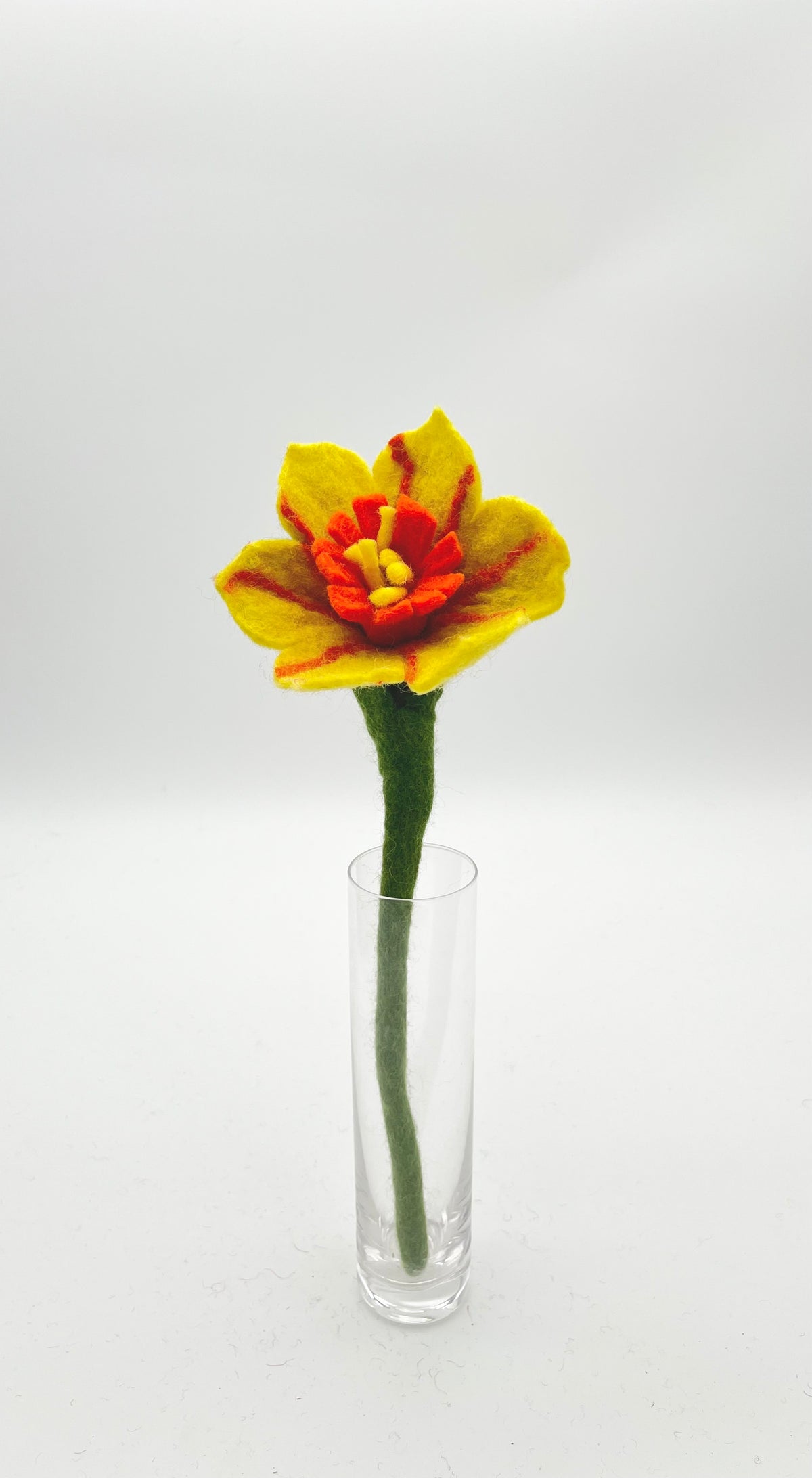 Mini Hibiscus