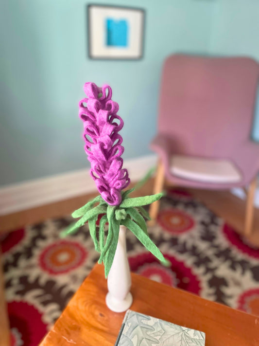 Liatris - Purple