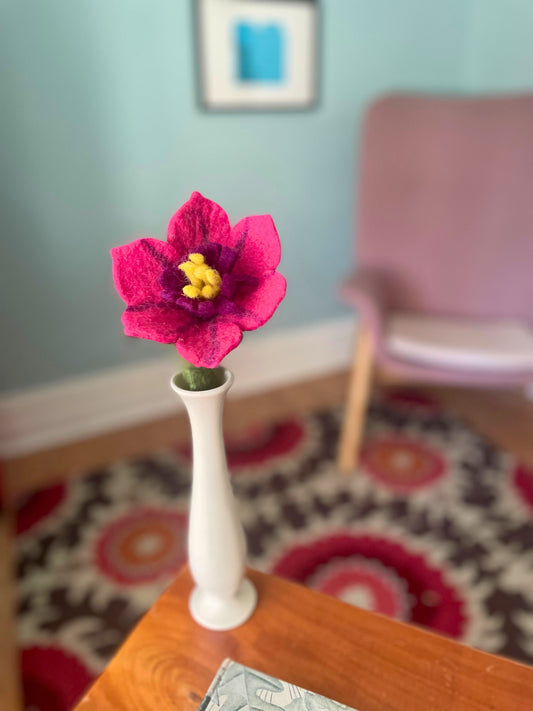 Mini Hibscus