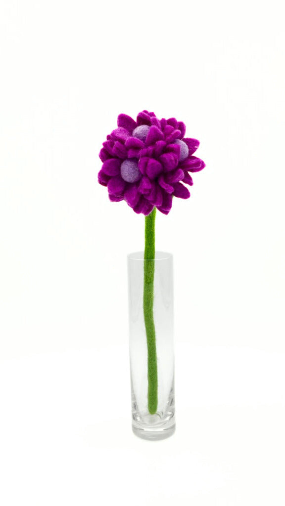 Hydrangea
