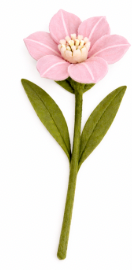 Mini-Hibscus - Pink and White