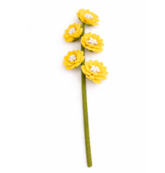 Aster - Yellow/White