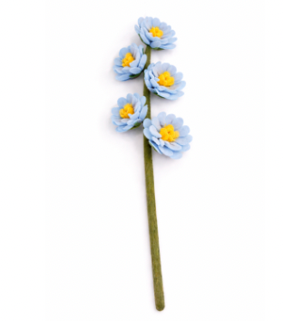 Aster - Light Blue
