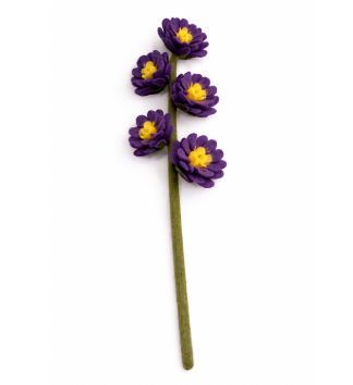 Aster - Purple
