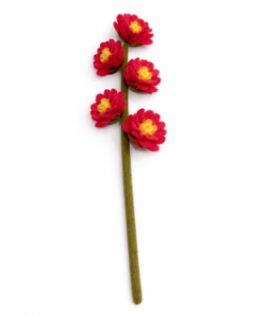 Aster - Red