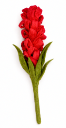 Liatris - Red