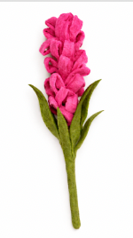Liatris - Hot Pink