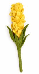 Liatris - Yellow
