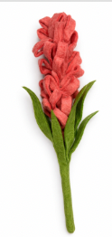 Liatris - Coral