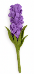 Liatris - Purple