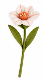 Mini-Hibscus - White with Peach